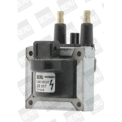 Ritė, uždegimas BorgWarner (BERU) ZS317