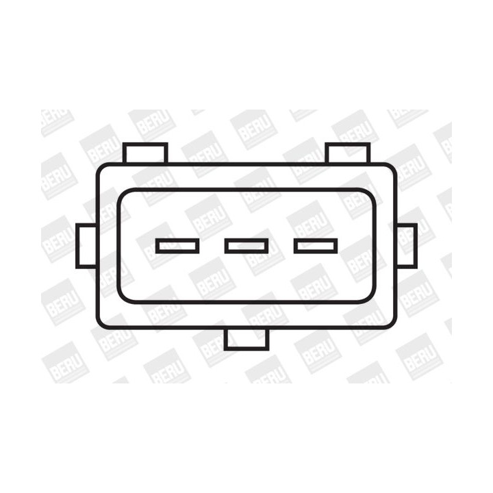 Ritė, uždegimas BorgWarner (BERU) ZS317