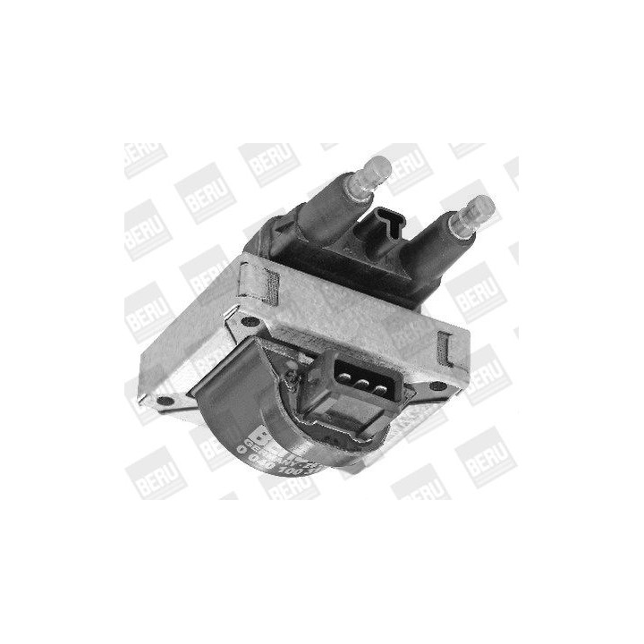 Ritė, uždegimas BorgWarner (BERU) ZS317