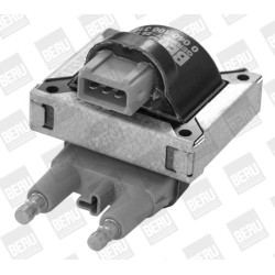 Ritė, uždegimas BorgWarner (BERU) ZS318