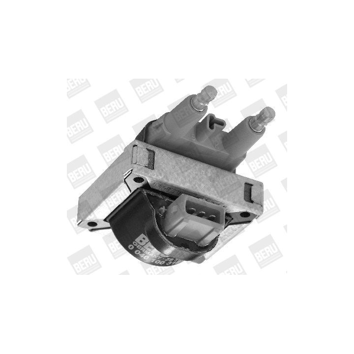 Ritė, uždegimas BorgWarner (BERU) ZS318