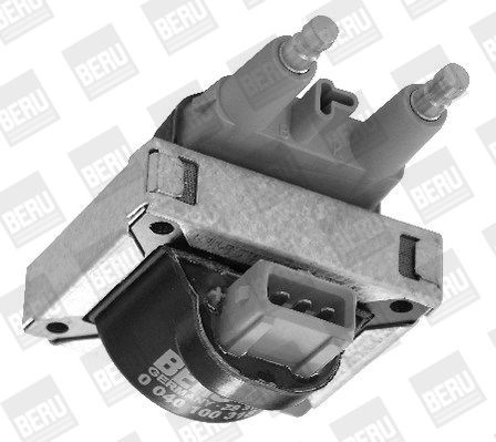 Ritė, uždegimas BorgWarner (BERU) ZS318