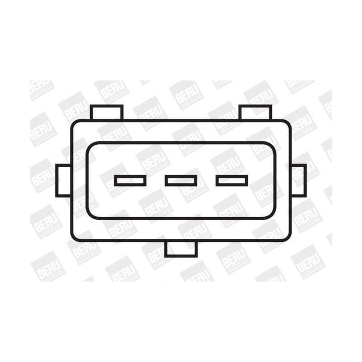 Ritė, uždegimas BorgWarner (BERU) ZS318