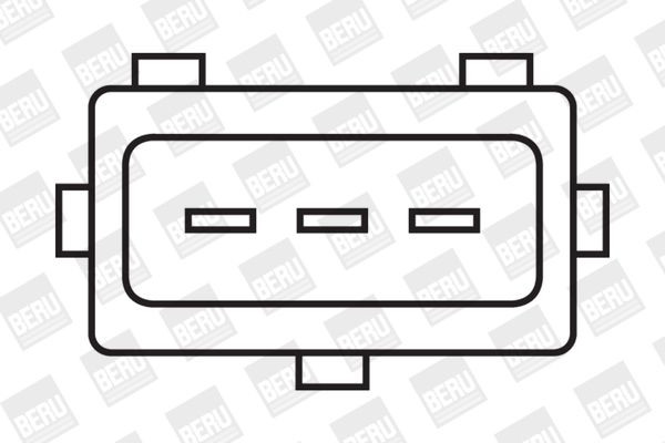 Ritė, uždegimas BorgWarner (BERU) ZS318