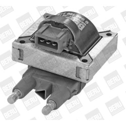 Ritė, uždegimas BorgWarner (BERU) ZS319