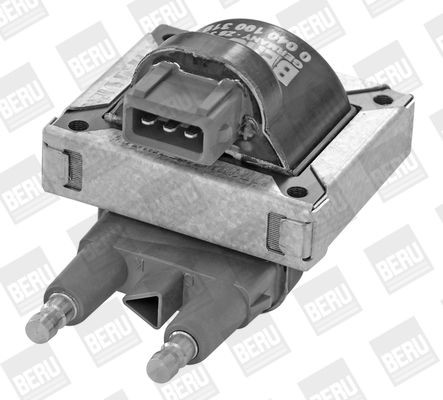 Ritė, uždegimas BorgWarner (BERU) ZS319