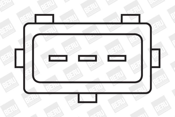 Ritė, uždegimas BorgWarner (BERU) ZS319