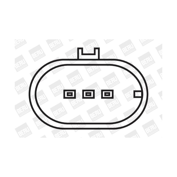 Ritė, uždegimas BorgWarner (BERU) ZS321