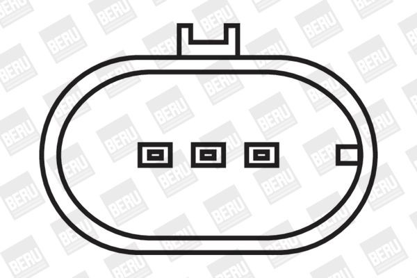 Ritė, uždegimas BorgWarner (BERU) ZS321