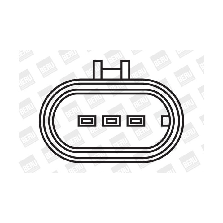 Ritė, uždegimas BorgWarner (BERU) ZS322
