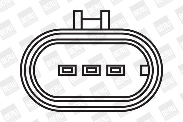 Ritė, uždegimas BorgWarner (BERU) ZS322