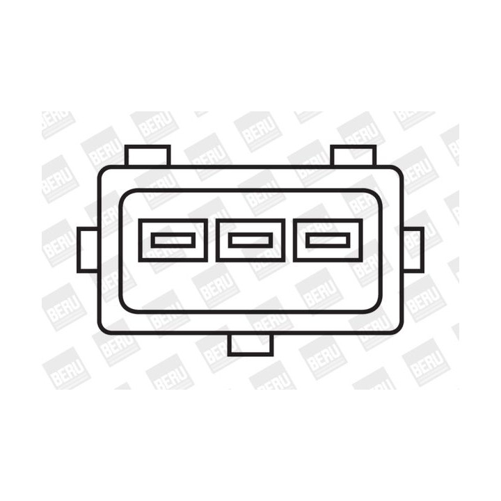 Ritė, uždegimas BorgWarner (BERU) ZS323