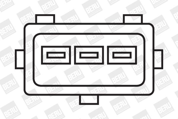 Ritė, uždegimas BorgWarner (BERU) ZS323