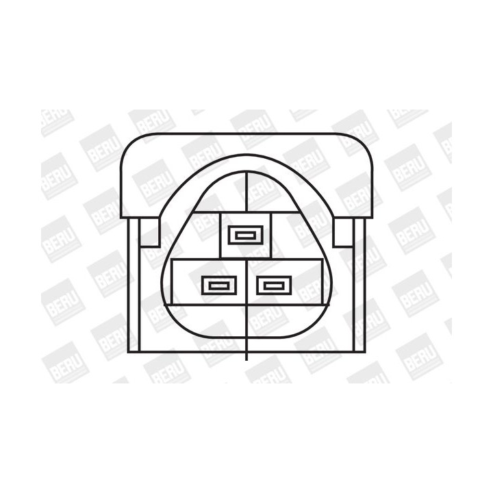Ritė, uždegimas BorgWarner (BERU) ZS324