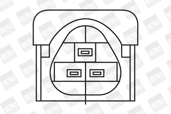 Ritė, uždegimas BorgWarner (BERU) ZS324