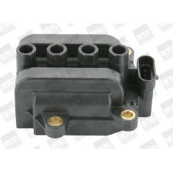 Ritė, uždegimas BorgWarner (BERU) ZS325