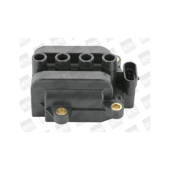 Ritė, uždegimas BorgWarner (BERU) ZS325