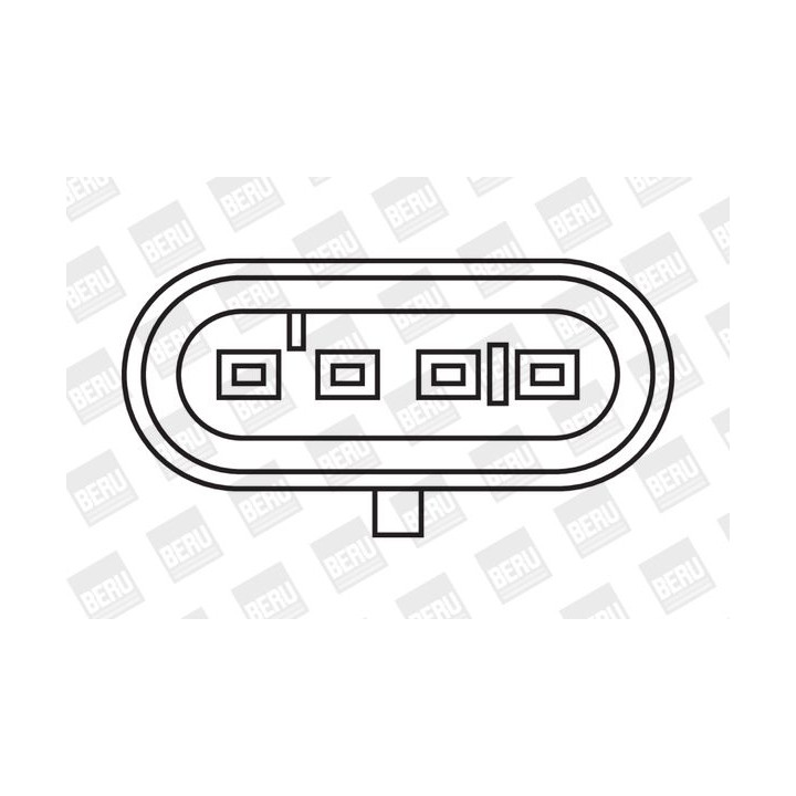 Ritė, uždegimas BorgWarner (BERU) ZS325