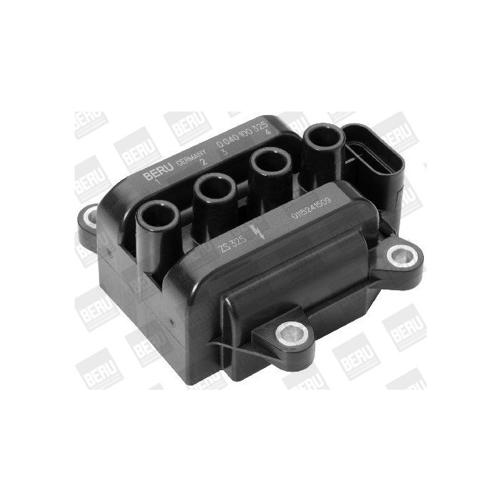 Ritė, uždegimas BorgWarner (BERU) ZS325