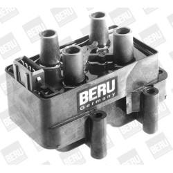 Ritė, uždegimas BorgWarner (BERU) ZS341