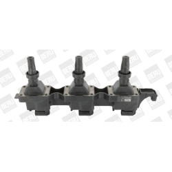 Ritė, uždegimas BorgWarner (BERU) ZS343