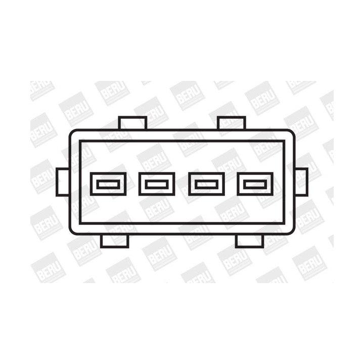 Ritė, uždegimas BorgWarner (BERU) ZS343
