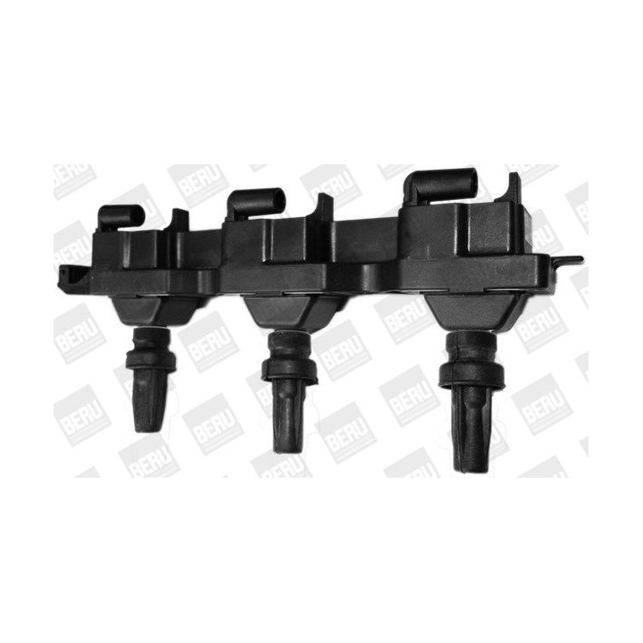 Ritė, uždegimas BorgWarner (BERU) ZS343