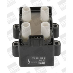 Ritė, uždegimas BorgWarner (BERU) ZS345