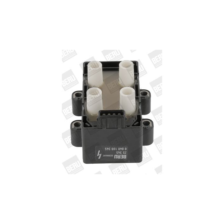 Ritė, uždegimas BorgWarner (BERU) ZS345