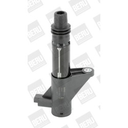 Ritė, uždegimas BorgWarner (BERU) ZS347