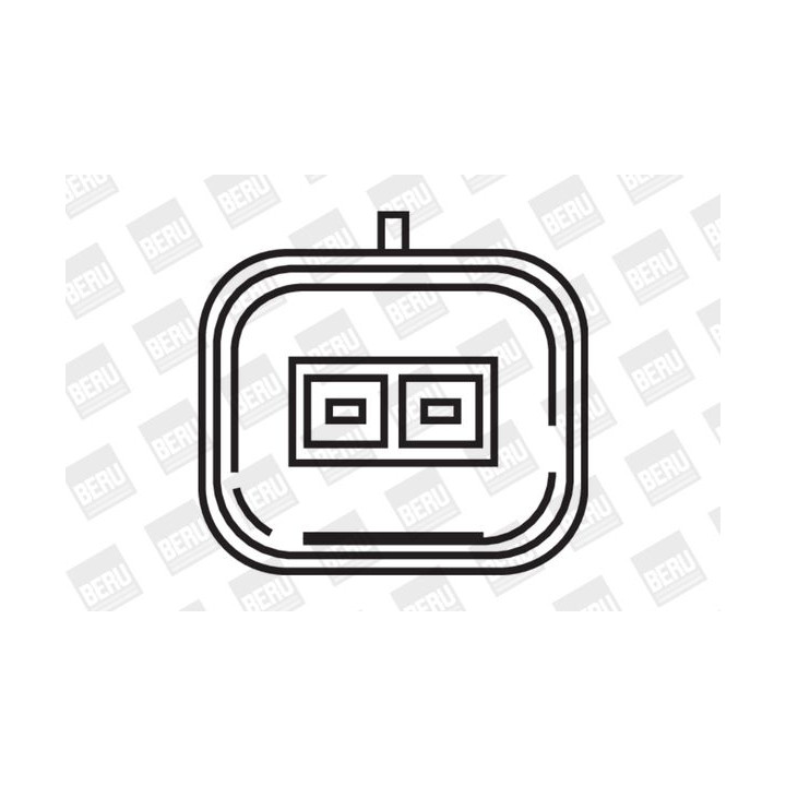 Ritė, uždegimas BorgWarner (BERU) ZS347