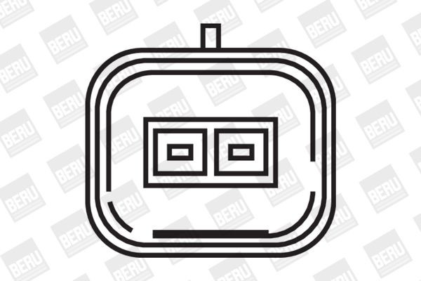 Ritė, uždegimas BorgWarner (BERU) ZS347