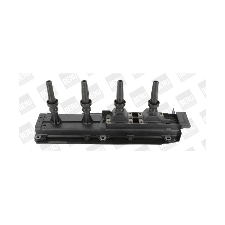 Ritė, uždegimas BorgWarner (BERU) ZS349