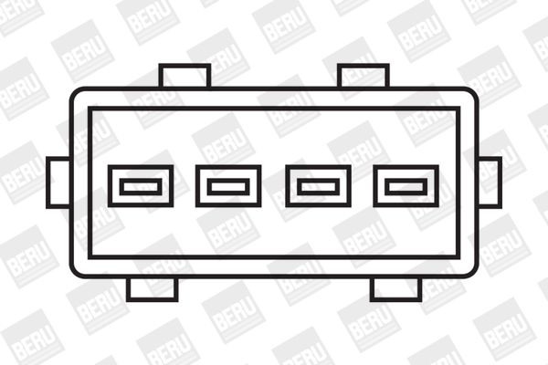 Ritė, uždegimas BorgWarner (BERU) ZS349