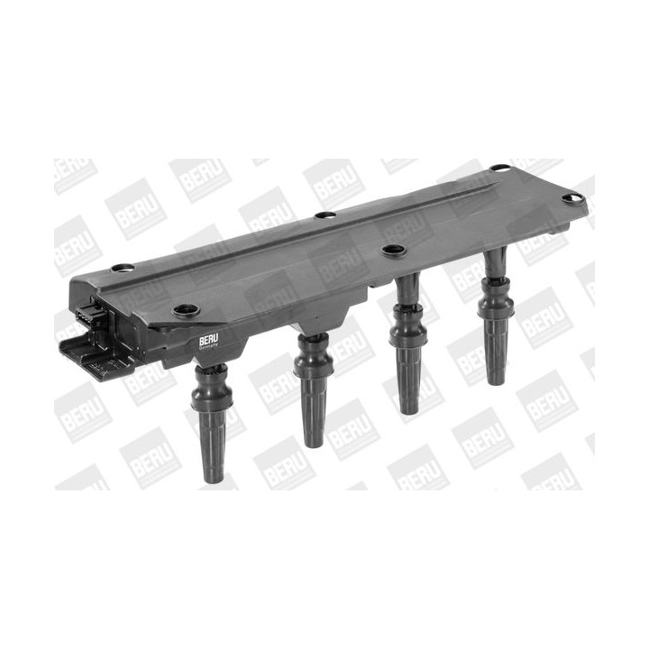 Ritė, uždegimas BorgWarner (BERU) ZS349