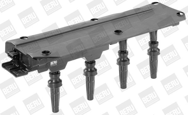 Ritė, uždegimas BorgWarner (BERU) ZS349