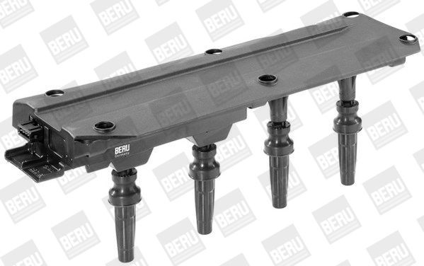 Ritė, uždegimas BorgWarner (BERU) ZS349