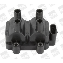 Ritė, uždegimas BorgWarner (BERU) ZS354