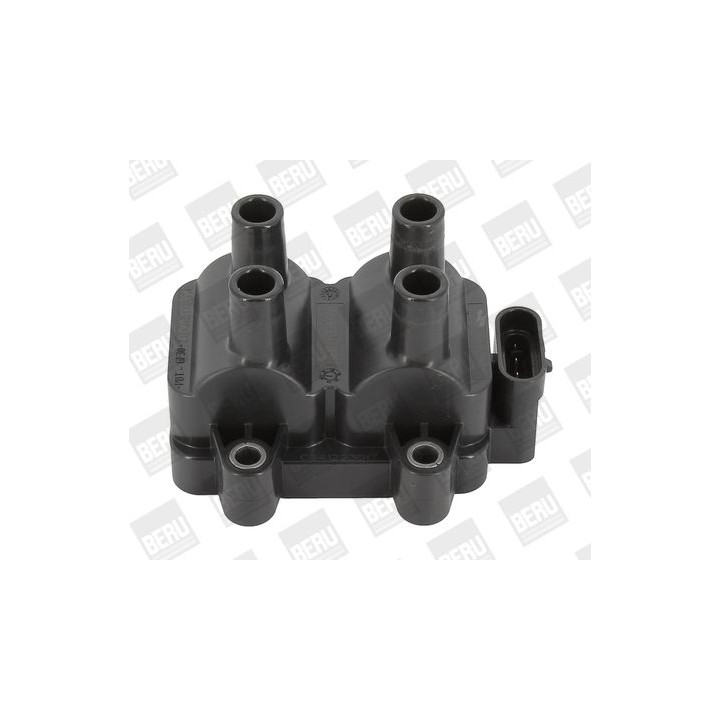 Ritė, uždegimas BorgWarner (BERU) ZS354