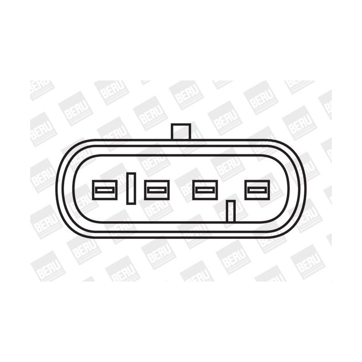 Ritė, uždegimas BorgWarner (BERU) ZS354