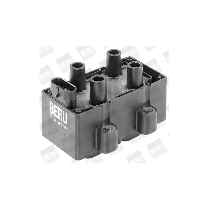 Ritė, uždegimas BorgWarner (BERU) ZS354