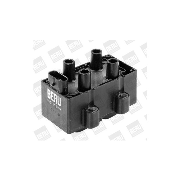 Ritė, uždegimas BorgWarner (BERU) ZS354