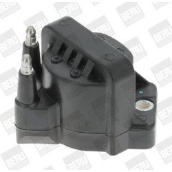 Ritė, uždegimas BorgWarner (BERU) ZS355