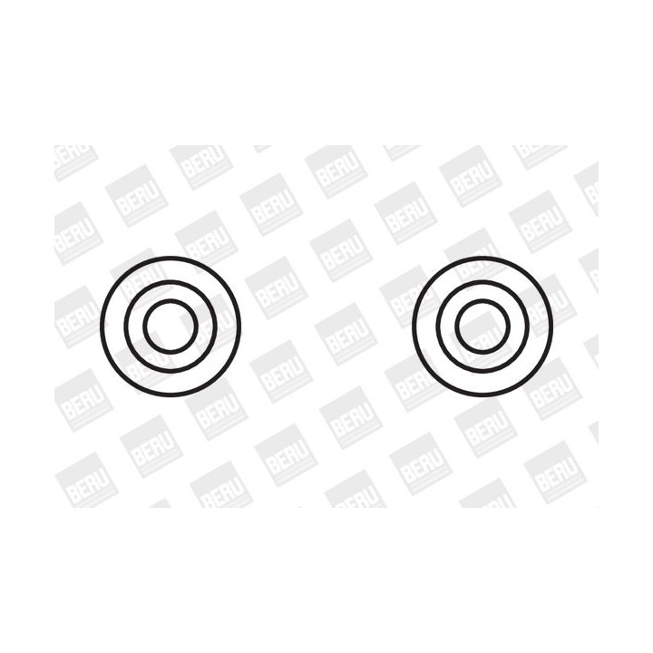 Ritė, uždegimas BorgWarner (BERU) ZS355