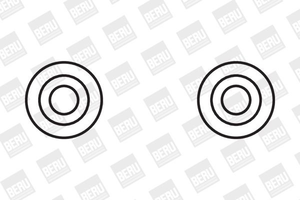 Ritė, uždegimas BorgWarner (BERU) ZS355