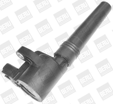 Ritė, uždegimas BorgWarner (BERU) ZS368