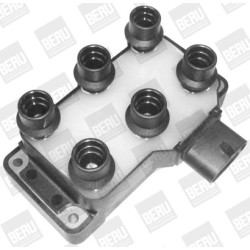 Ritė, uždegimas BorgWarner (BERU) ZS370