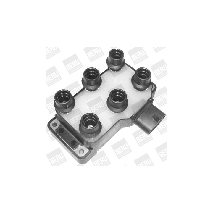 Ritė, uždegimas BorgWarner (BERU) ZS370