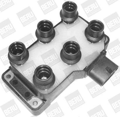 Ritė, uždegimas BorgWarner (BERU) ZS370