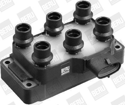 Ritė, uždegimas BorgWarner (BERU) ZS370